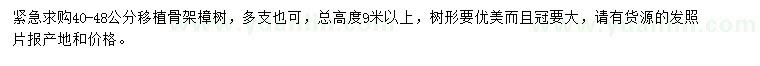 求購40-48公分樟樹