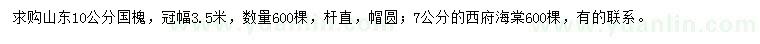 求購(gòu)10公分國(guó)槐、7公分西府海棠