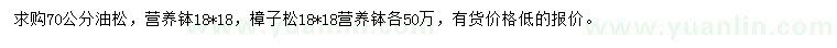 求購70公分油松、樟子松