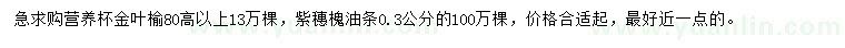 求購金葉榆、紫穗槐油條