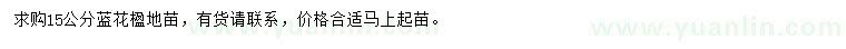 求購(gòu)15公分藍(lán)花楹地苗