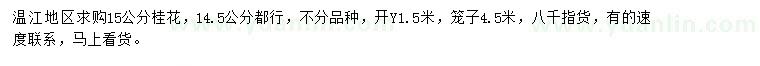 求購15公分桂花