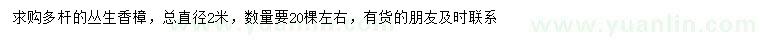 求購(gòu)直徑2米叢生香樟