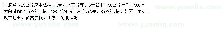 求購(gòu)胸徑13公分速生法桐、20、23、25、30公分白蠟