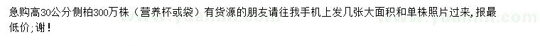 求購高30公分側(cè)柏