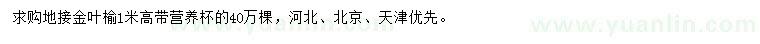 求購(gòu)高1米地接金葉榆