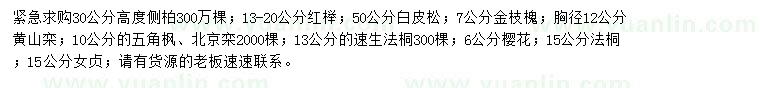 求購側柏、紅櫸、白皮松等