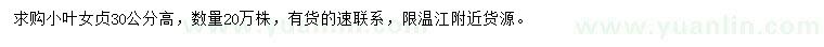 求購高30公分小葉女貞