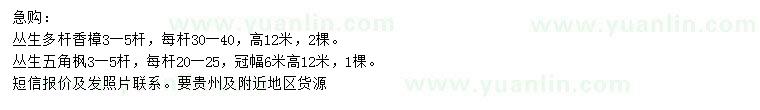 求購(gòu)高12米香樟、五角楓