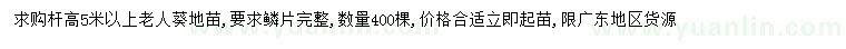 求購(gòu)高5米以上老人葵