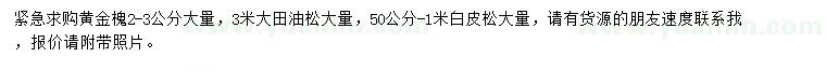 求購黃金槐、大田油松、白皮松