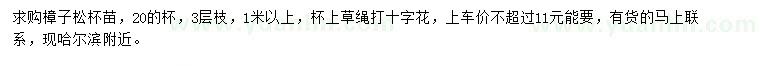 求購樟子松杯苗