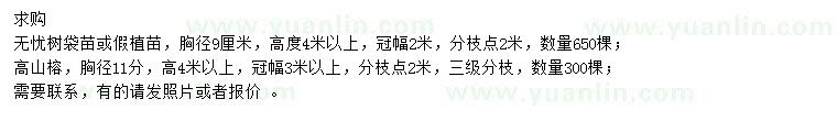 求購胸徑9公分無憂樹、胸徑11公分高山榕