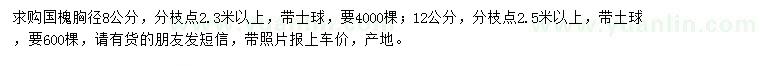 求購(gòu)胸徑8、12公分國(guó)槐
