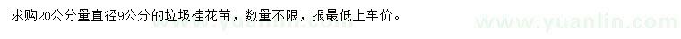 求購20公分量直徑9公分垃圾桂花苗