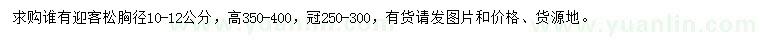 求購胸徑10-12公分迎客松