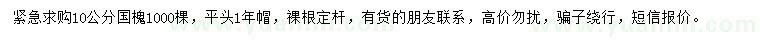 求購10公分國槐