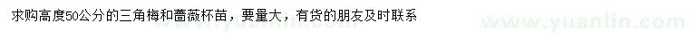 求購高50公分三角梅、薔薇杯苗