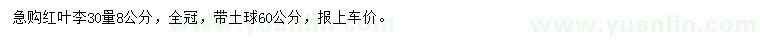 求購30量8公分紅葉李