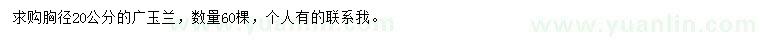 求購胸徑20公分廣玉蘭
