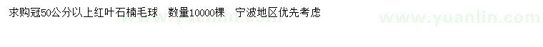 求購冠50公分以上紅葉石楠毛球