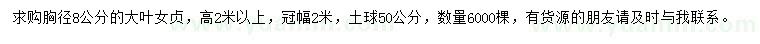 求購胸徑8公分大葉女貞