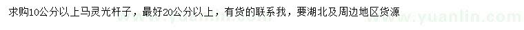 求購10公分以上馬靈光桿子