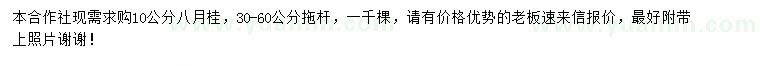 求購10公分八月桂