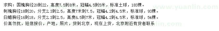 求購國槐、刺槐、白蠟