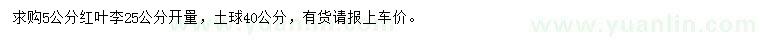 求購25公分量5公分紅葉李