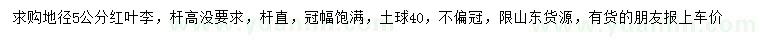 求購地徑5公分紅葉李