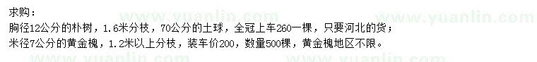 求購胸徑12公分樸樹、米徑7公分黃金槐