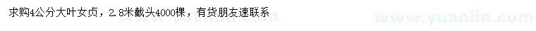 求購4公分大葉女貞