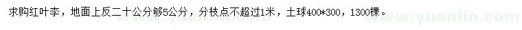 求購地面上反20公分夠5公分紅葉李