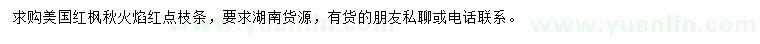求購美國紅楓秋火焰紅點(diǎn)枝條