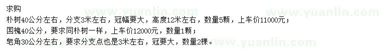 求購樸樹、國槐、皂角