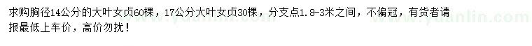 求購胸徑14、17公分大葉女貞