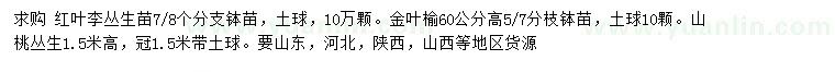 求購紅葉李、金葉榆、山桃