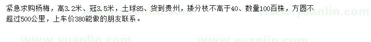 求購高3.2米楊梅樹
