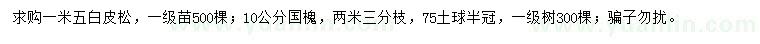 求購(gòu)1.5米白皮松、10公分國(guó)槐