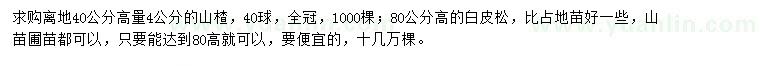 求購(gòu)山楂、白皮松 