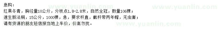 求購紅果冬青、速生新法桐