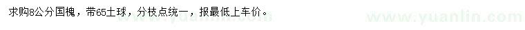 求購8公分國槐