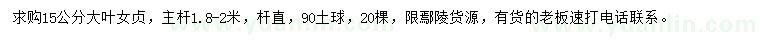 求購15公分大葉女貞