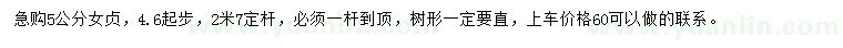求購5公分女貞