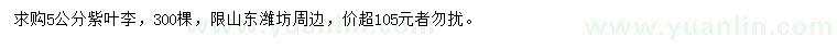 求購(gòu)5公分紫葉李