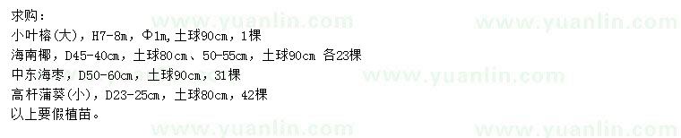求購小葉榕(大)、海南椰、中東海棗等