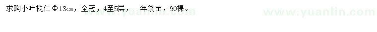 求購(gòu)胸徑13公分小葉欖仁
