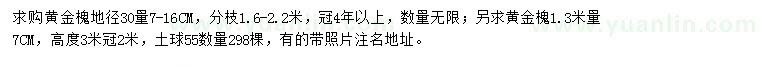 求購地徑30量7-16公分黃金槐、1.3米量7公分黃金槐