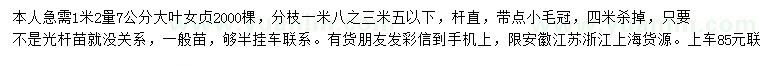 求購1米2量7公分大葉女貞